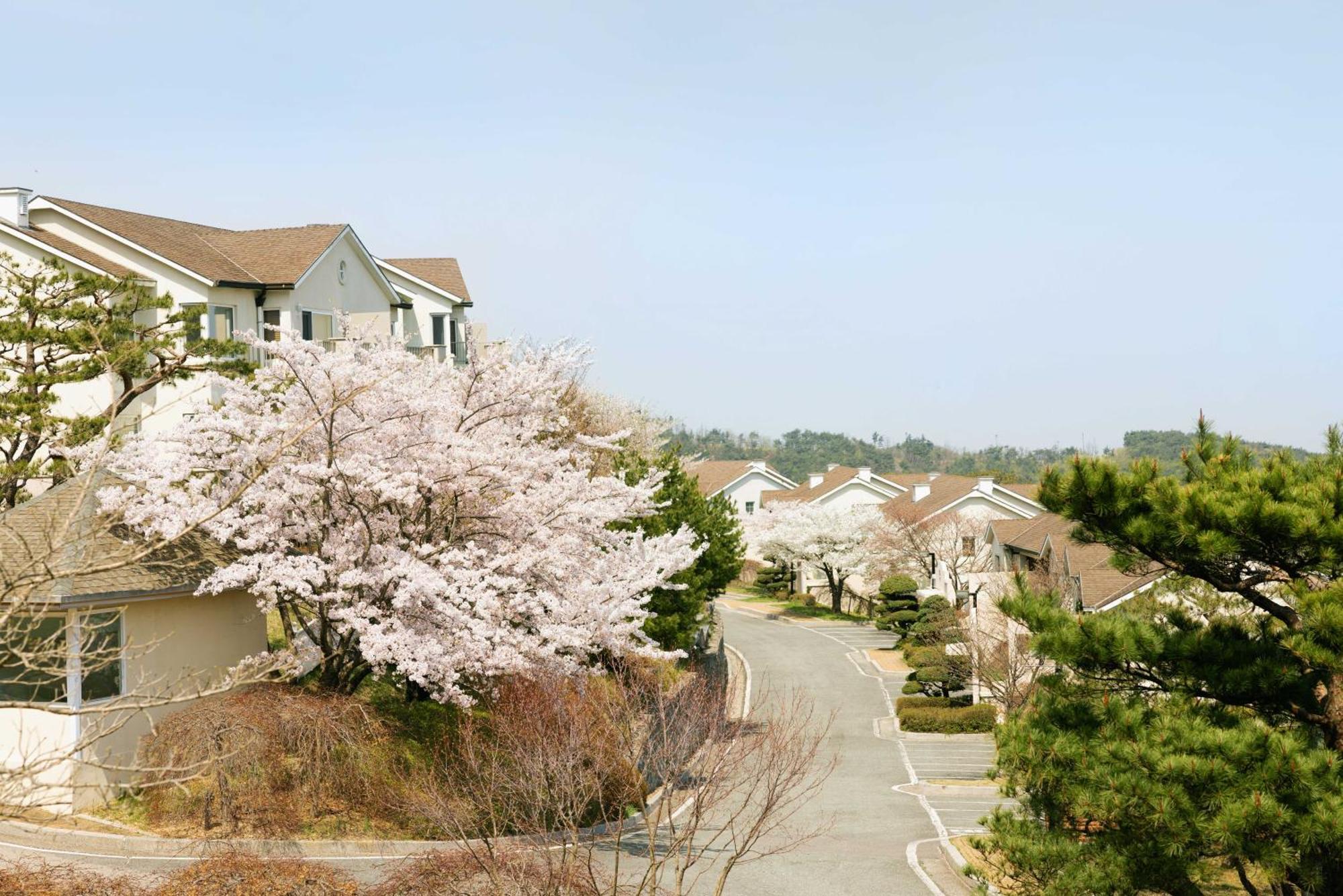 Gyeongju Mauna Ocean Resort מראה חיצוני תמונה