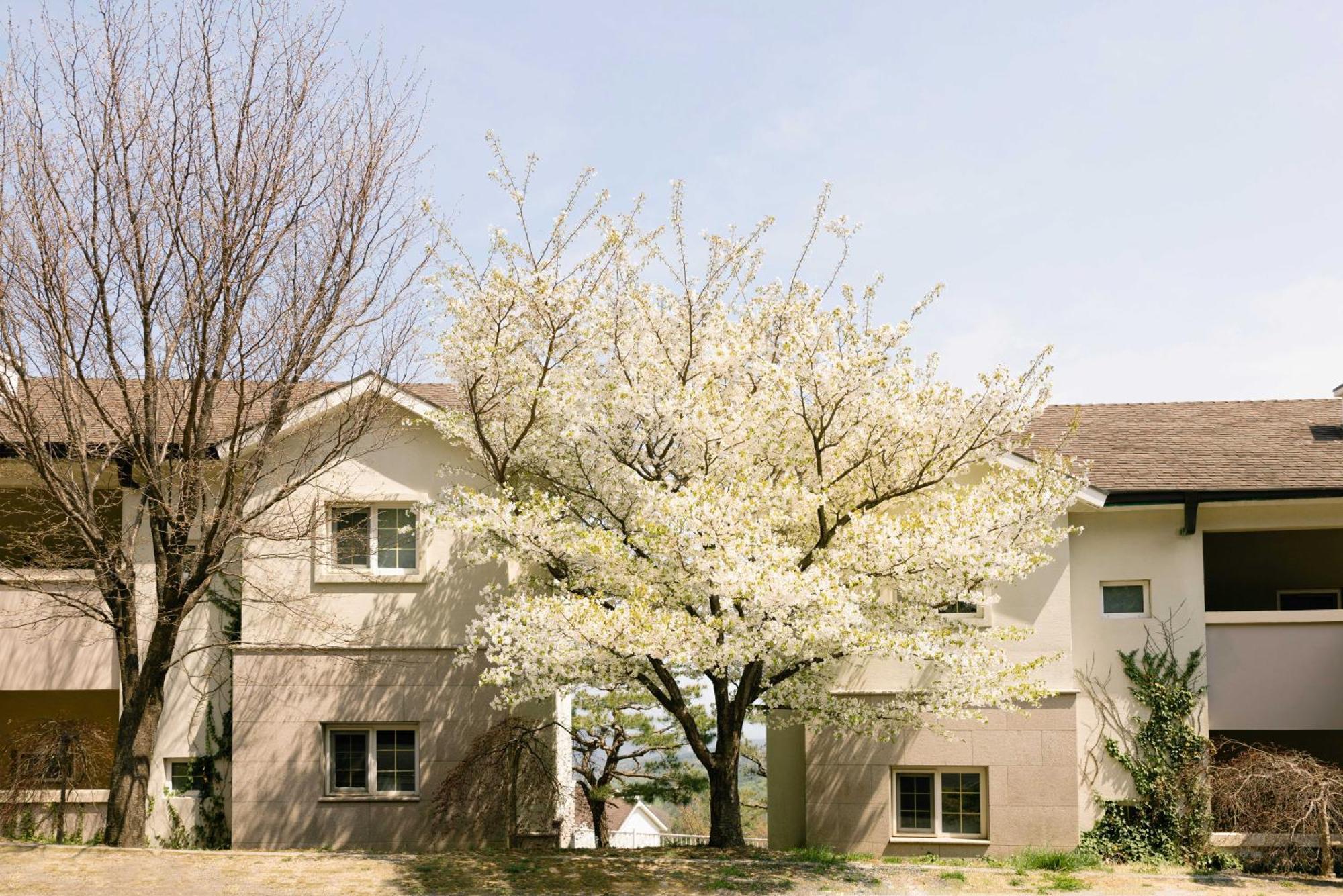 Gyeongju Mauna Ocean Resort מראה חיצוני תמונה